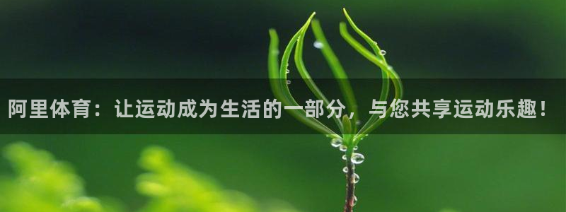 杏悦2包怎么样