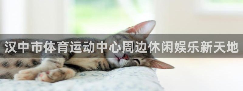 杏悦2集团股票