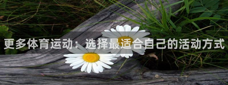 杏悦2体育f开号