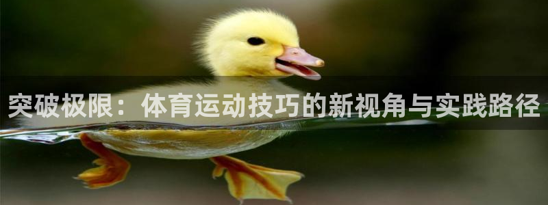 杏悦23官网登录