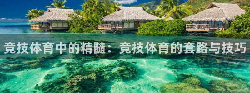 杏悦2平台注册入口