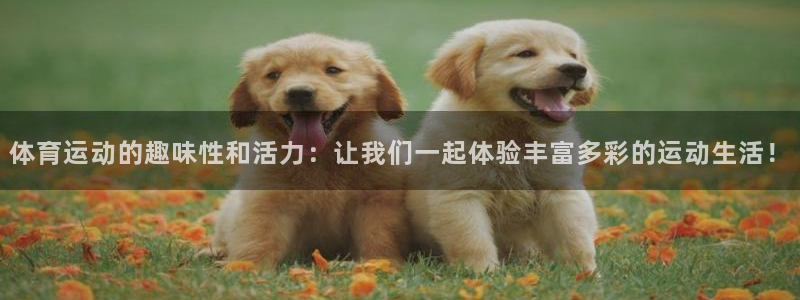 东莞市杏悦2电子科技有限公司
