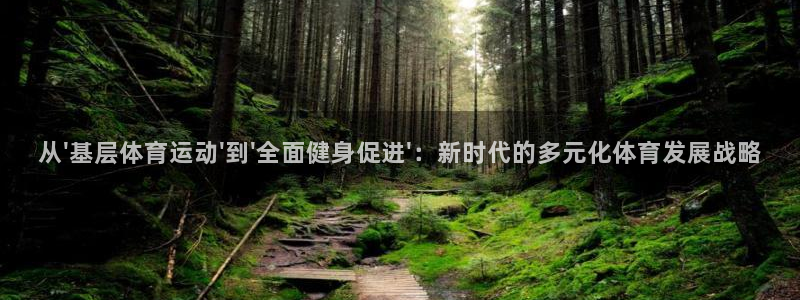 杏悦24官网