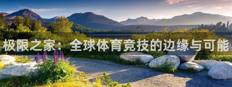 杏悦23官网