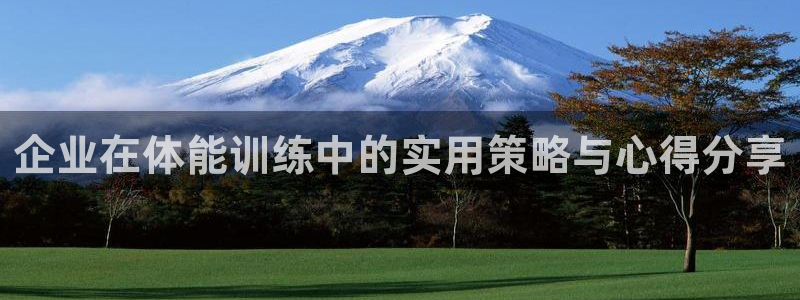 杏悦24登录