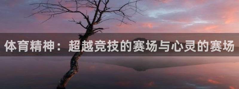 杏悦2体育2