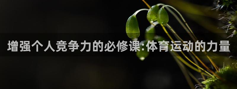 杏悦2体育热门赛事有哪些