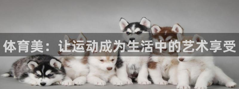 杏悦24官网