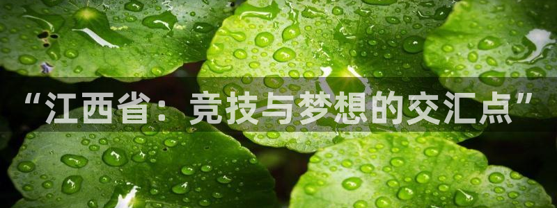 杏悦2登录