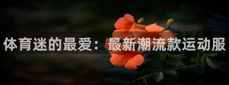 杏悦2体育3