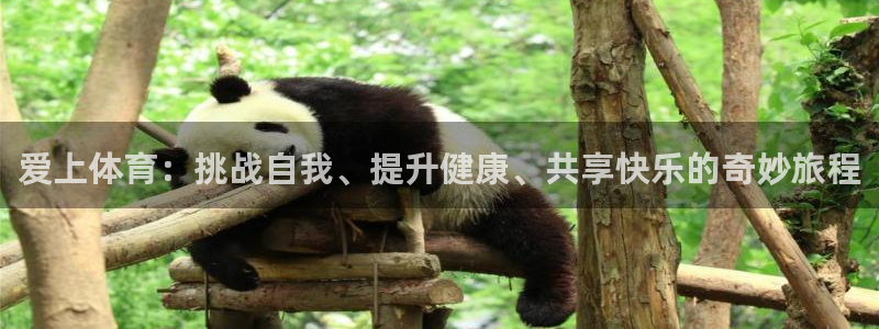 杏悦2体育3